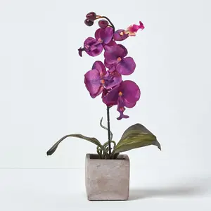 Homescapes Set of 2 Cerise Pink & White Artificial Orchids in Pots, 40 cm