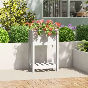 Berkfield Planter with Shelf White 54x34.5x81 cm Solid Wood Pine