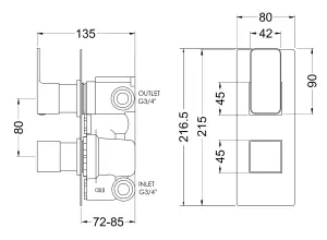 Empire Square Concealed Twin Thermostatic Shower Valve With Diverter (2 Outlets) - Brushed Pewter - Balterley