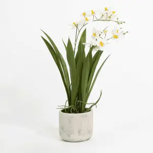 Blooming Artificial - Faux Oncidium Orchid - White Purple - Indoor Fake Plant