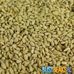 2.5L BusyBeaks Sunflower Hearts - Kernels Bird Seed Bakery Grade Food for Wild Birds