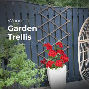 DIVCHI Wooden Trellis Expandable Garden Wall Trellis For Climbing Plants Decoration & Plants Partitioning (Pack Of 3)