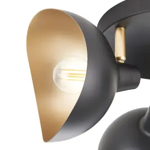 Anara Matt Black & Gold 3 Light Spotlight