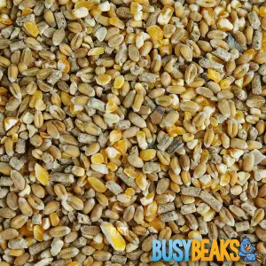 7.5kg BusyBeaks Chicken Corn Extra - Healthy Feed with Oyster Shell Grit Poultry Food