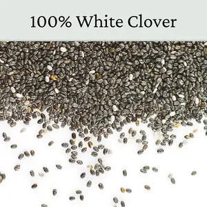 Micro Clover Seed for Lawn UK - 100% Small Leaf White Clover - Over Seeding or New Areas - 150g Pack Covers 15-30m²