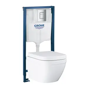 Grohe Euro Alpine White Wall hung Toilet & cistern with Soft close seat & Concealed cistern