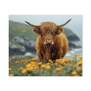 Highland Cow By The Coast Kitchen Splashback