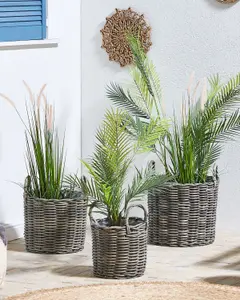 Set of 3 Plant Pots NIKITI PE Rattan Taupe