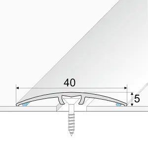 A64 40mm Anodised Aluminium Door Threshold Strip - Gold, 0.93m