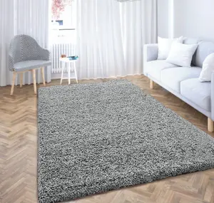 Luxurious Shaggy Rugs Soft Extra Thick Area Rugs Heavy 5cm Dense Pile for Living Room Bedroom Hallway (Silver, 120 x 170cm)