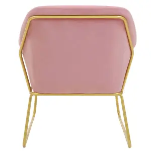 Interiors by Premier Functional Pink Velvet Bushed Gold ArmChair, Cozy Desk Chair Pink Velvet, Easy to Clean Pink Velvet Chair