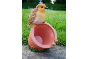 Robin sitting on Pot bird feeder