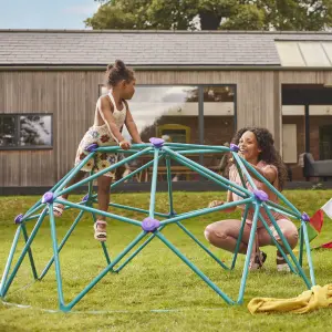 Plum Teal Metal Small Domed Climbing frame