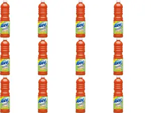 Asevi General Purpose Cleaner 1L (Orange) (Pack of 12)