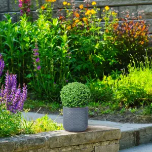 IDEALIST 25cm Small Round Planter, Honeycomb Slate Grey Reinforced Stone Cylinder Outdoor Plant Pot D25 H23 cm, 11L