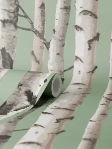 Fine Decor Birch Trees Sage Wallpaper FD43291