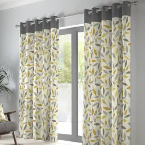 Beechwood Leaf Trail Pair of 100% Cotton Eyelet Curtains