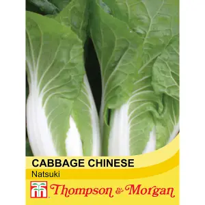 Cabbage chinese Natsuki F1 Hybrid 1 Seed Packet (30 Seeds)