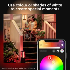 Philips Hue Impress White and Colour Ambiance Pedestal Light Black, low voltage.