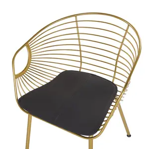 Bonneau Dining Chair (Set of 2) Gold