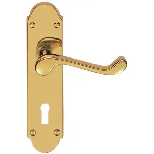 Victorian Latch & Lock Door Handle - Polished Brass Lever On Shaped Backplate