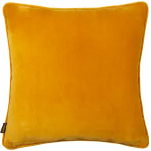 Paoletti Chedworth Piped Velvet Feather Rich Cushion