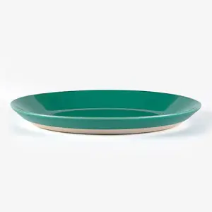 Sur La Table Colour Me Happy Green Dinner Plate