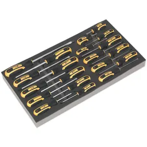 Comprehensive 20 Piece Screwdriver Set with Durable Tool Tray for Organized Storage