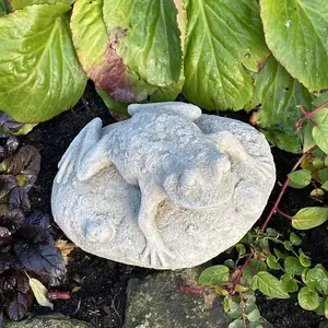 Frog On Rock Small Garden Ornament