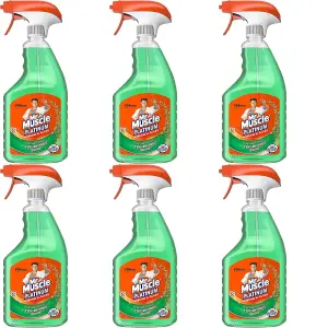 Mr Muscle Platinum Window & Glass Cleaner Trigger Spray, 750ml (Pack of 6)