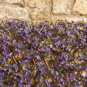 Artificial Lavender Hedge Trellis 1 x 2m Expandable Privacy Screening Panel for Gardens, Balcony and Terraces