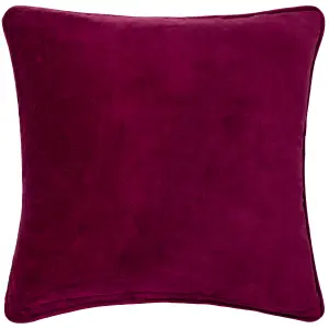 Paoletti Chedworth Piped Velvet Feather Rich Cushion