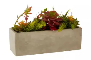 Fiori Mixed Succulents with Cement Pot Artificial Plant Foliage