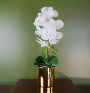 Artificial Orchid Large White Gold 52cm Botanik