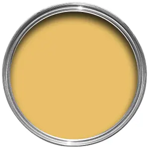 Farrow & Ball Estate Babouche No.223 Eggshell Paint, 750ml