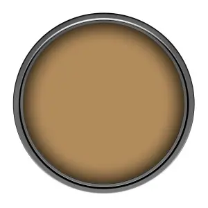 Leyland Trade Vinyl Matt Walls & Ceilings Emulsion Paint Brown Beige (RAL 1011) 1L