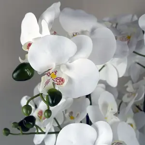 50cm Artificial Orchid with Glass Planter - White