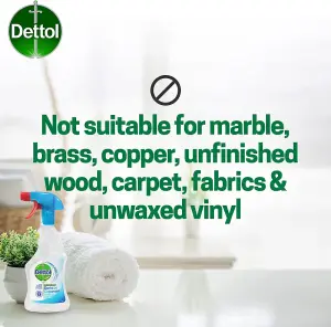 Dettol Antibacterial Surface Cleaner Spray 500ml x 12