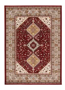 Traditional Persian Easy to Clean Bordered Floral Geometric Wool Rug for Living Room and Bedroom-240cm X 340cm