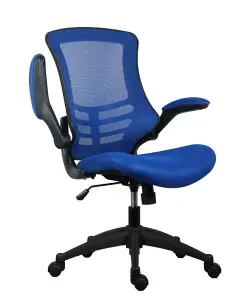 Rainbow Zebra Blue Mesh Office Chair with Black Base and Folding Armrests