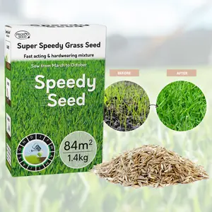 Pronto Seed Grass Seed 1.4KG Premium Quality 84m2 Coverage for Overseeding, Fast Growing & Hard Wearing Lawn Seed, Defra Approved