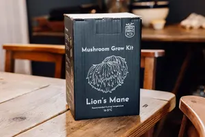 Lion's Mane Mushroom Growing Kit