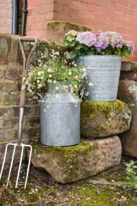 Galvanised Milk Churn Outdoor Planter H42cm