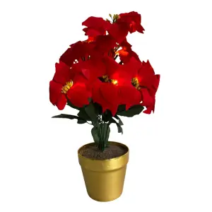 Artificial LED Red Poinsettia Plant in Gold Pot - Faux Realistic Floral Home Christmas Decoration with 10 Lights - H35 x 28cm