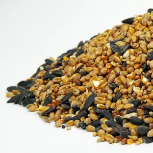 30kg SQUAWK All Seasons Wild Bird Food Mix - Year Round Quality Garden Feed