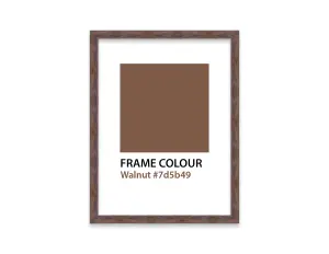 A2 Walnut Picture Frame Fits A2 (42 x 59.4cm - 16.5 x 23.4in) Poster, Photo, Artwork, or Print.