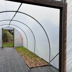 10ft x 48ft Straight Sided Polytunnel Kit, Heavy Duty Professional Greenhouse