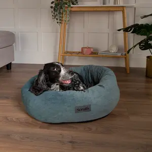 Polyester Pet Bed Teal / Extra Large (32-40kg)