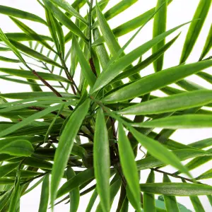 6 x 40cm Artificial Bamboo Palm Bush Plant