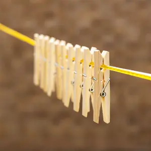 Bamboo Laundry Pegs Pack of 100 Pukkr